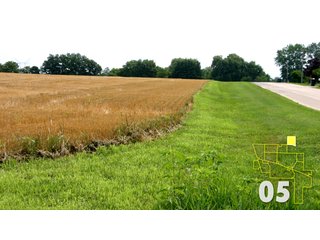 Property photo 16 - Land Auction - 3,379 Acres in 48 Tracts, 2,900 Acres Tillable, Large Contiguous Tracts - Investment Potential